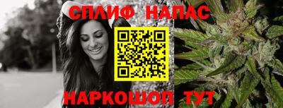 СК Конаково