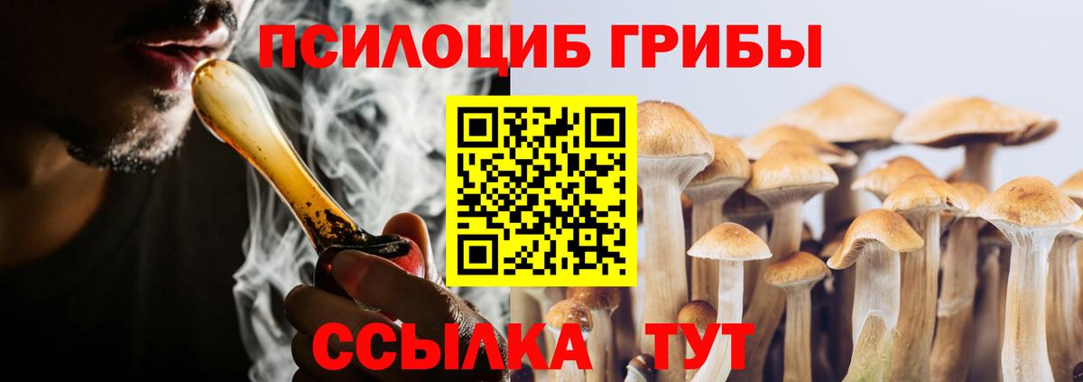 Псилоцибиновые грибы Psilocybe  Вход с VPN  Балтийск 